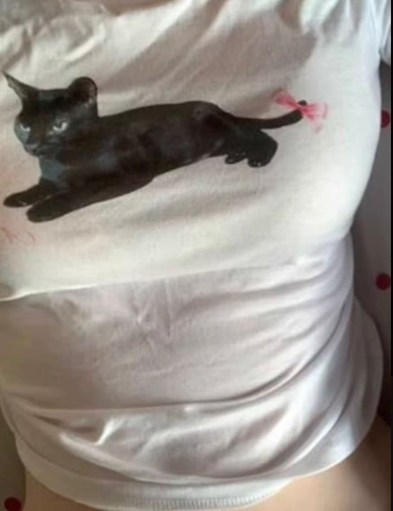 Cat With Bow Preppy Baby Tee C - Baby Y2K Clothing 评论和价格